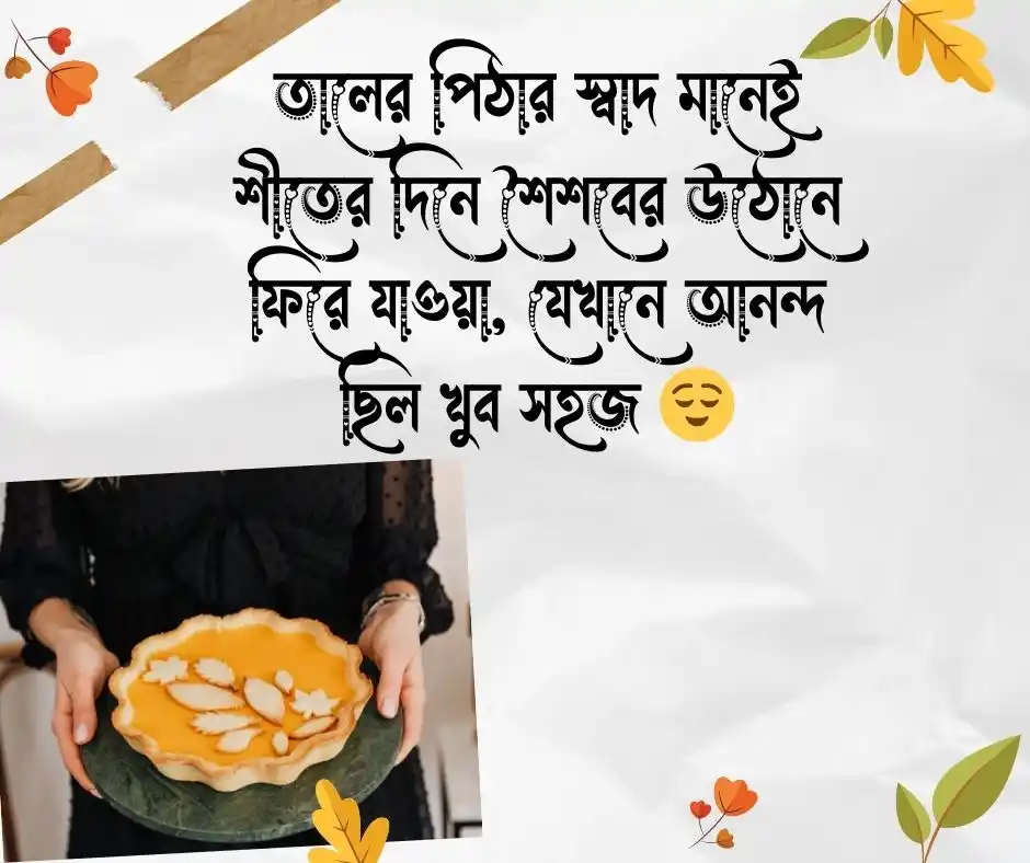 তালের পিঠা নিয়ে ক্যাপশন তালের পিঠা নিয়ে উক্তি