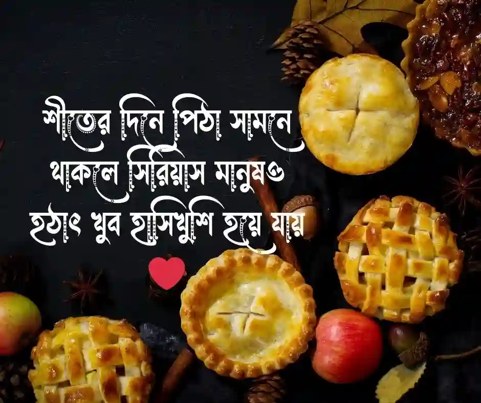 পিঠা উৎসব নিয়ে কিছু কথা