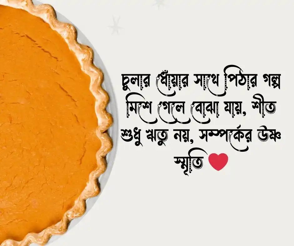 শীতের পিঠা নিয়ে কিছু কথা