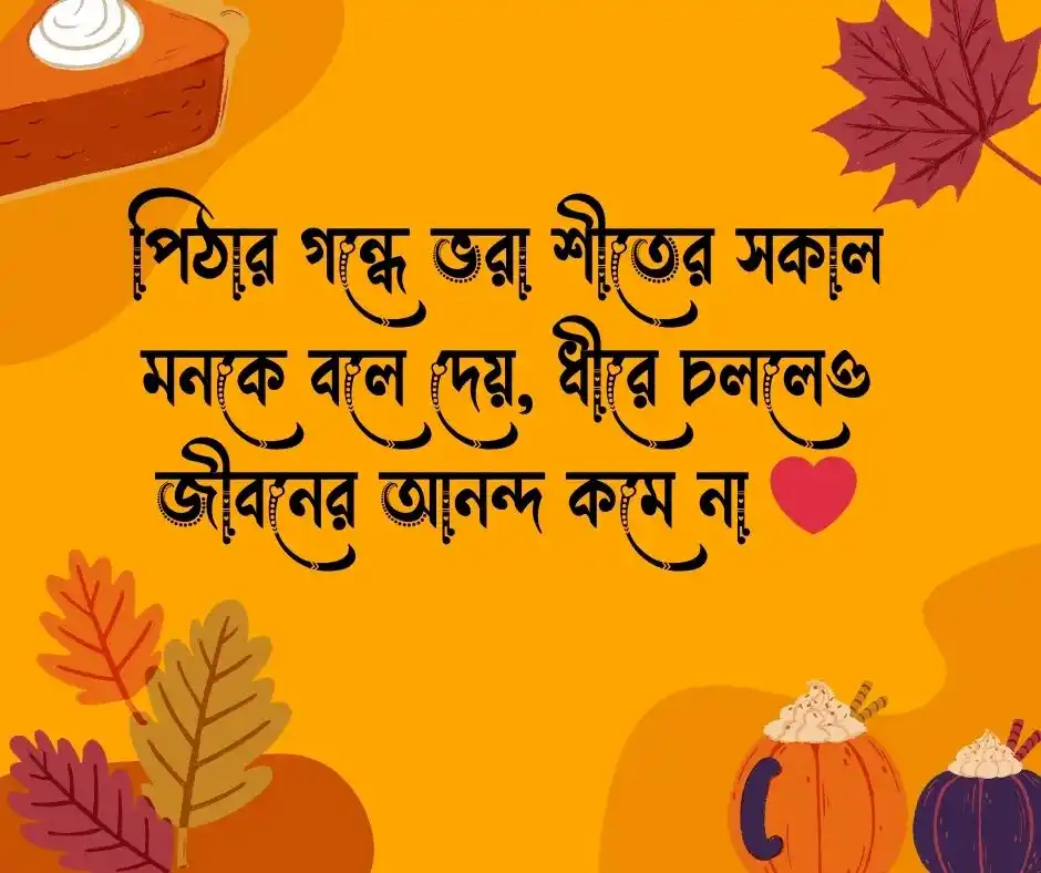 শীতের পিঠা নিয়ে ক্যাপশন