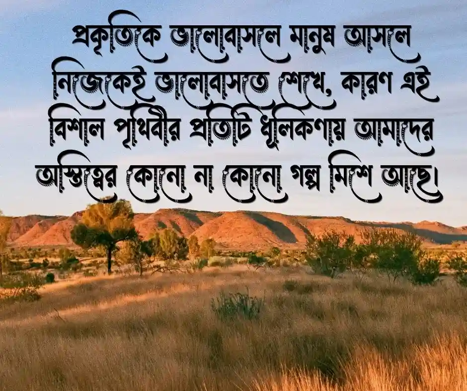 প্রকৃতির ছবি Nature Pictures