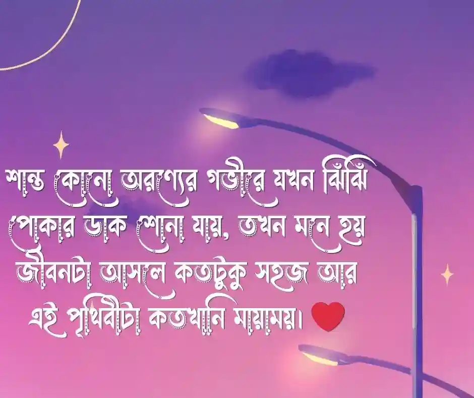 প্রকৃতি নিয়ে উক্তি Nature Quotes