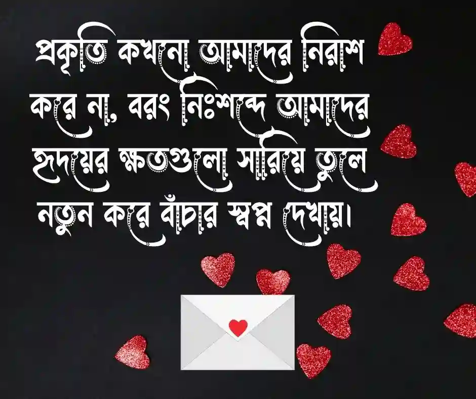 প্রকৃতি নিয়ে ক্যাপশন প্রকৃতি নিয়ে স্ট্যাটাস (1)
