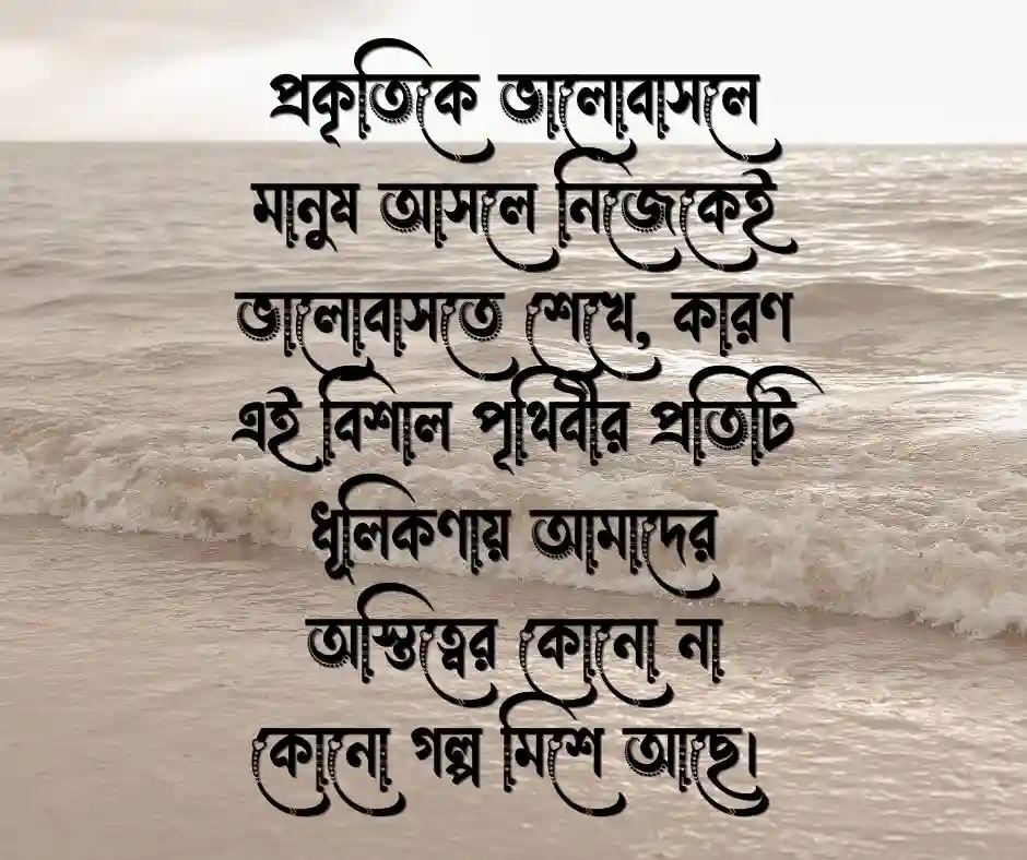 প্রকৃতি নিয়ে ছোট ক্যাপশন