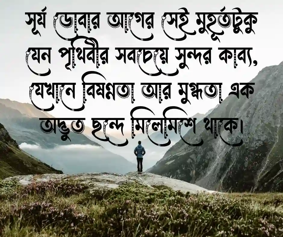বিকেলের প্রকৃতি নিয়ে ক্যাপশন