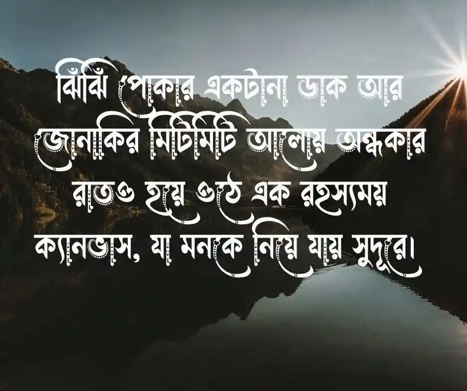 রাতের প্রকৃতি নিয়ে ক্যাপশন