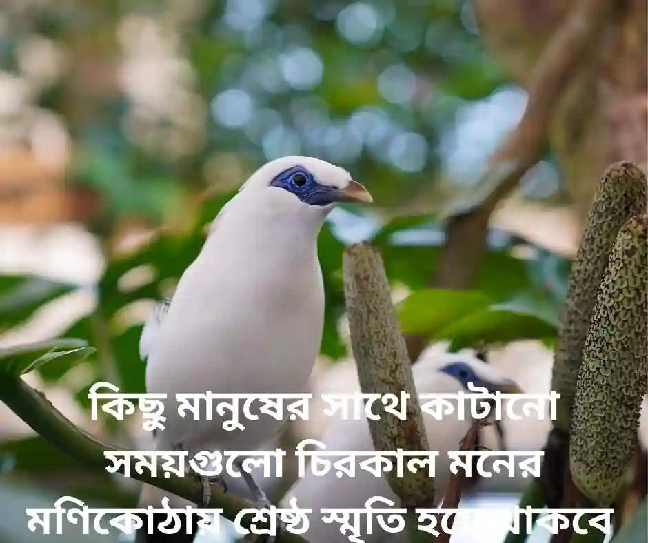 অতীত নিয়ে উক্তি (1)