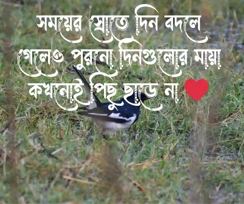 অতীত নিয়ে উক্তি