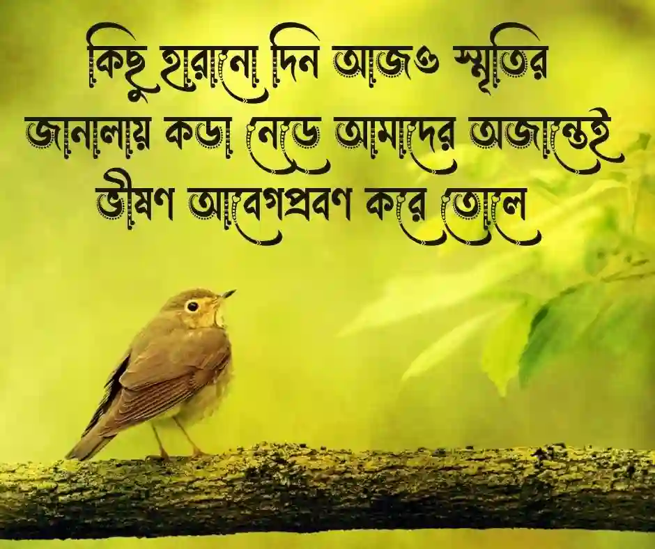 অতীত নিয়ে কিছু কথা