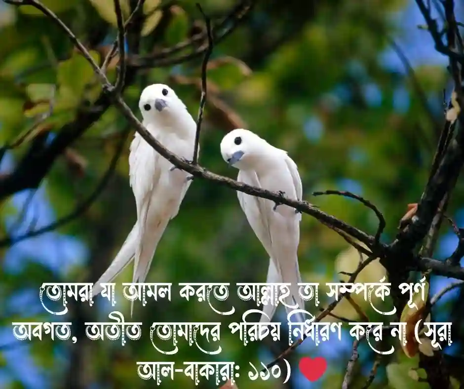 অতীত নিয়ে কোরআনের আয়াত