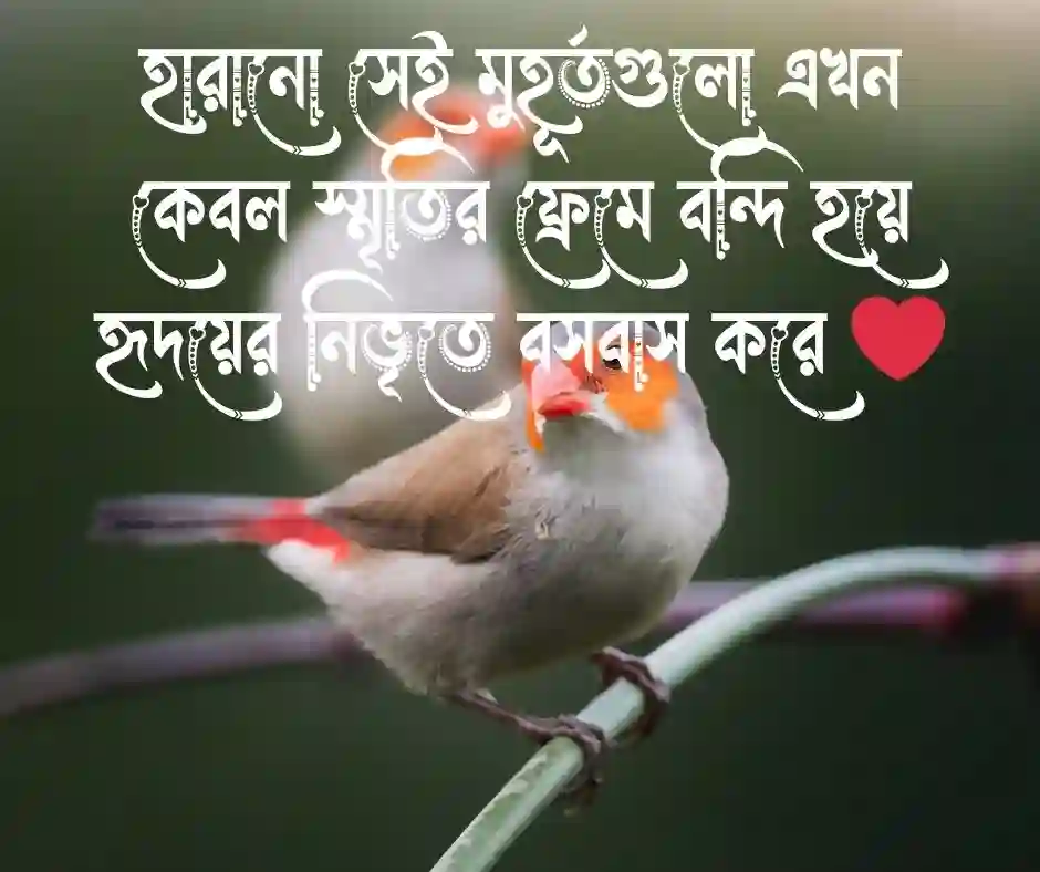 অতীত নিয়ে স্ট্যাটাস