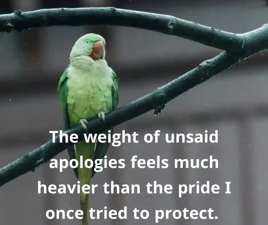 অনুতপ্ত নিয়ে উক্তি ইংরেজী