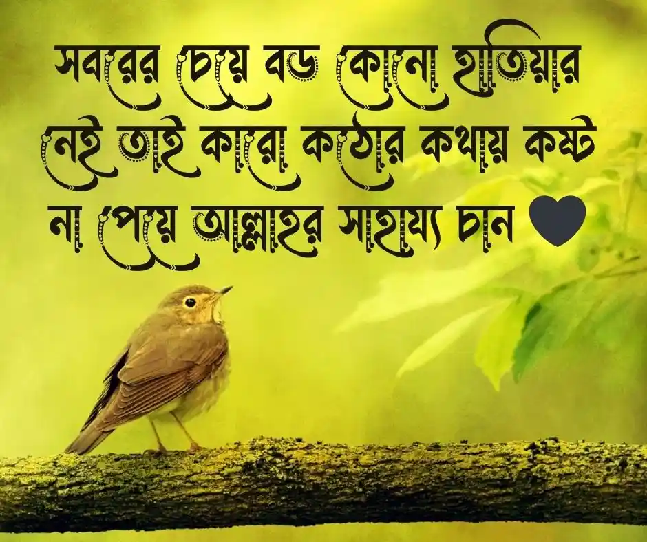 অপমান নিয়ে ইসলামিক উক্তি