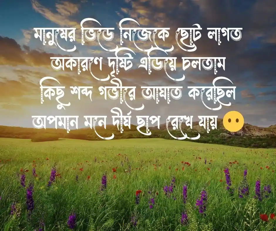 অপমান নিয়ে কবিতা