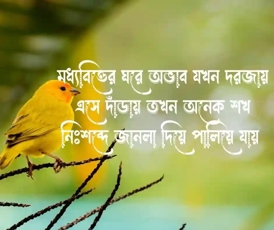 অভাব নিয়ে উক্তি