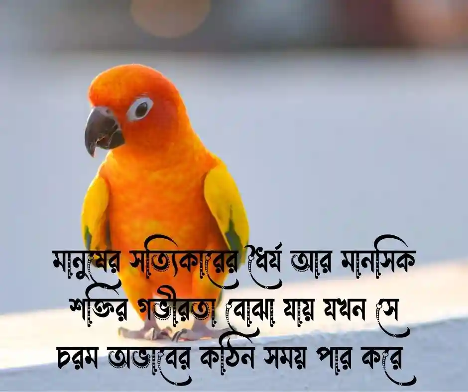অভাব নিয়ে কিছু কথা