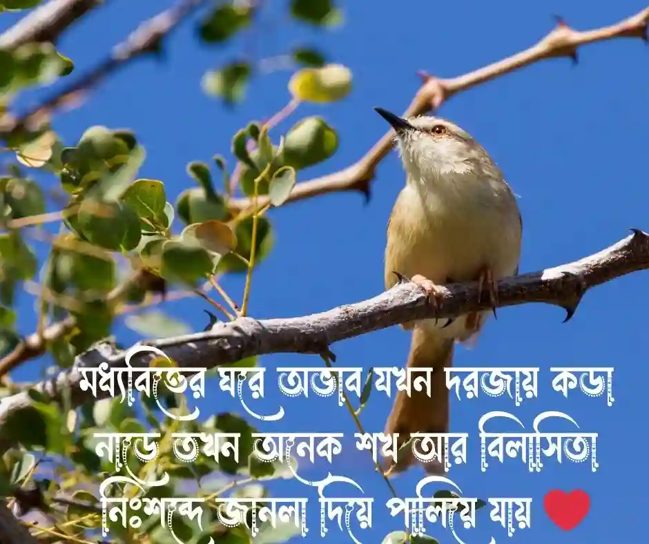 অভাব নিয়ে ক্যাপশন
