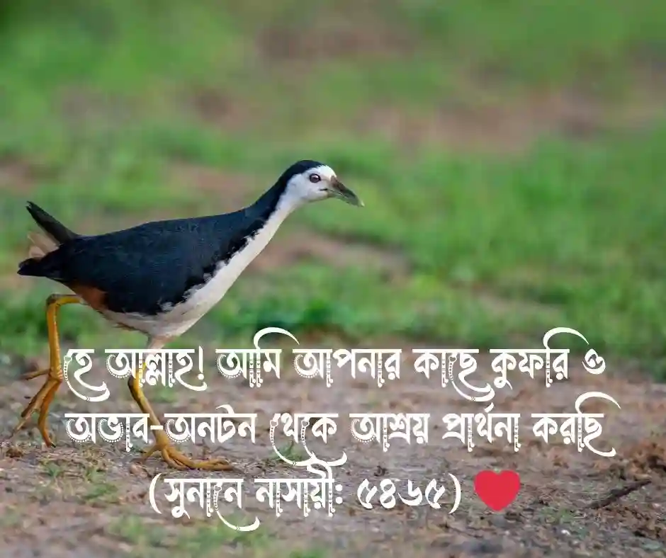 অভাব নিয়ে হাদিস