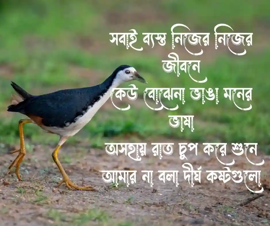 অসহায় নিয়ে কবিতা