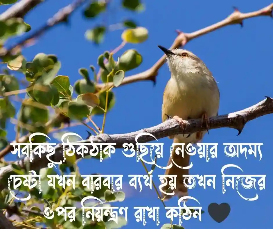 অসহায় নিয়ে ক্যাপশন