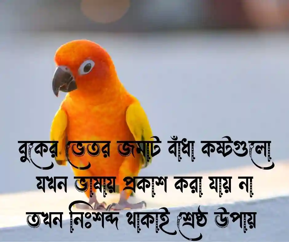 অসহায় নিয়ে স্ট্যাটাস