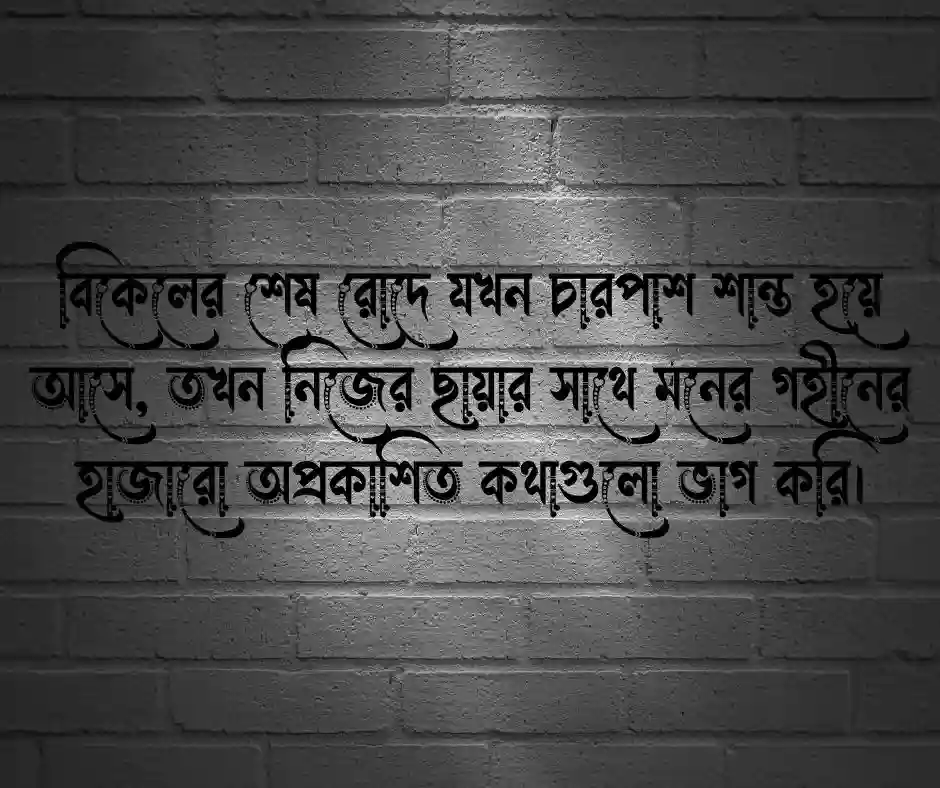 আলো ছায়া নিয়ে ক্যাপশন