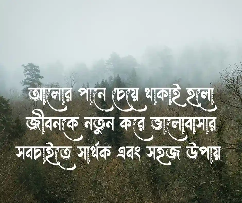 আলো নিয়ে উক্তি