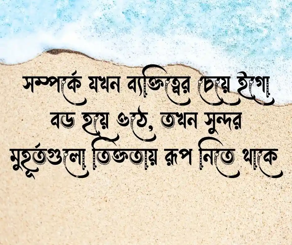 ইগো নিয়ে স্ট্যাটাস