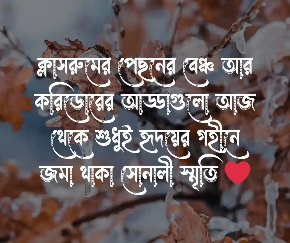 কলেজ থেকে বিদায় নিয়ে উক্তি