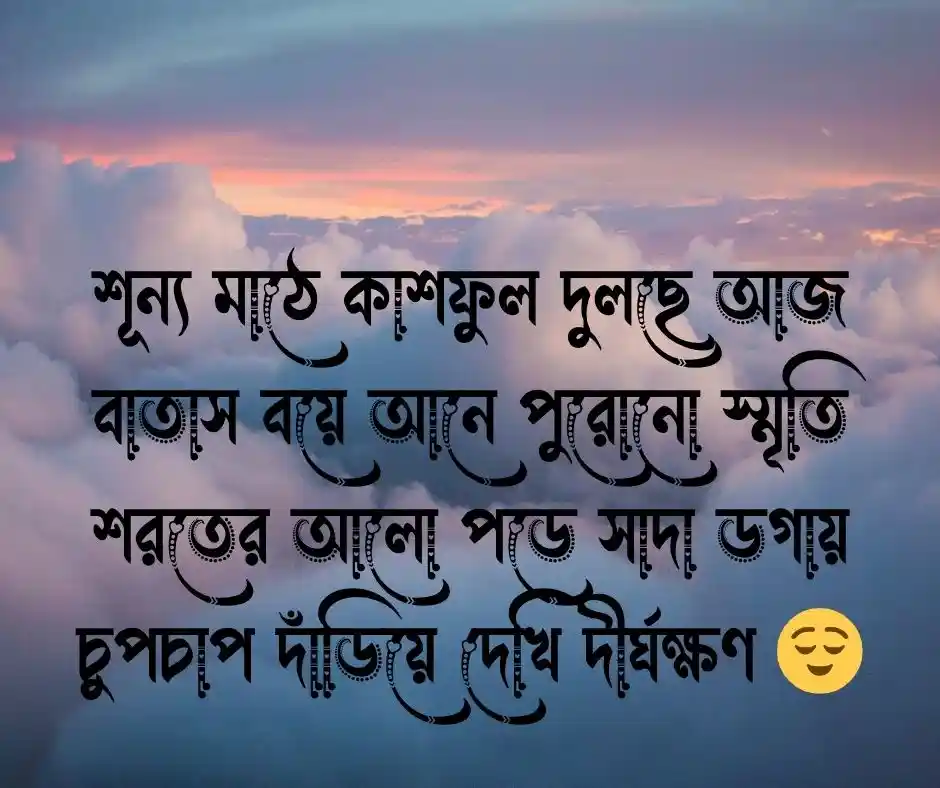 কাশফুল নিয়ে কবিতা