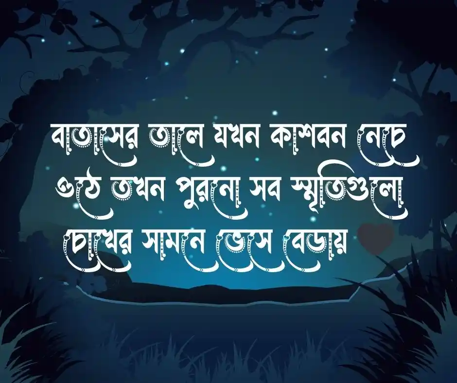 কাশফুল নিয়ে ক্যাপশন - কাশফুল নিয়ে স্ট্যাটাস