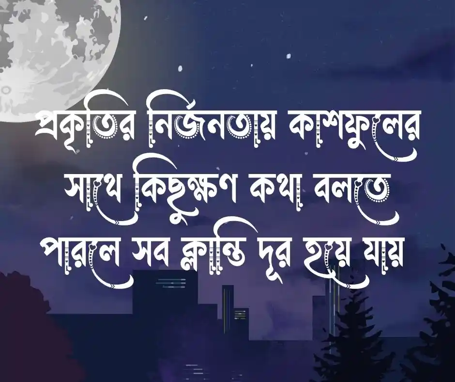 কাশফুল নিয়ে ক্যাপশন - কাশফুল নিয়ে স্ট্যাটাস