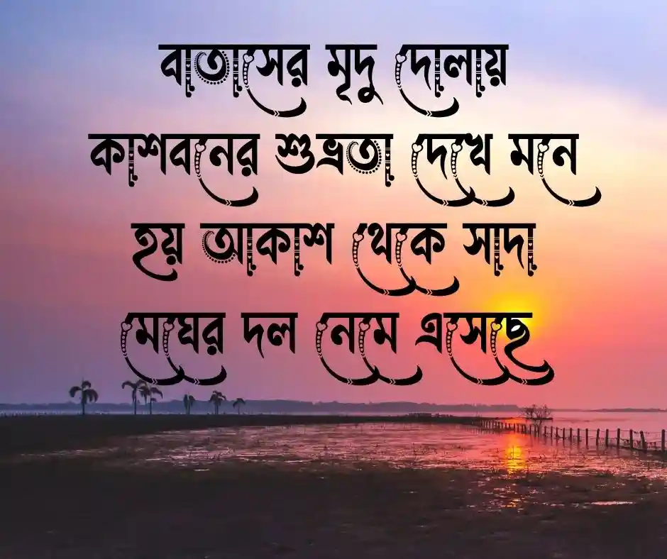 কাশফুল নিয়ে ক্যাপশন বাংলা