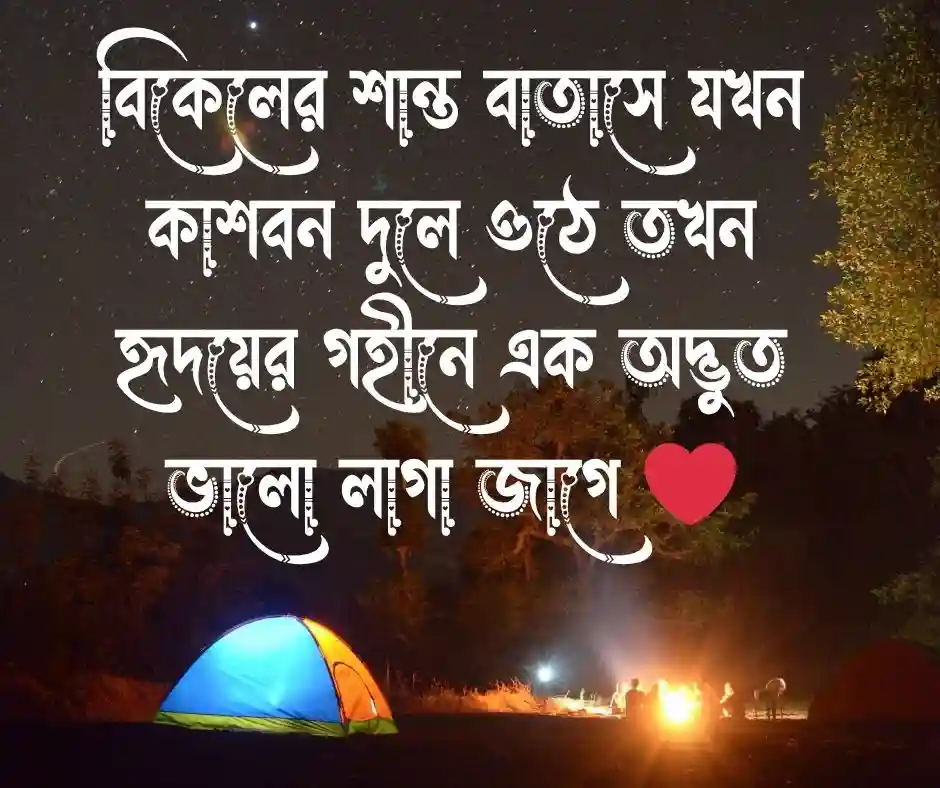 কাশফুল নিয়ে ছবি