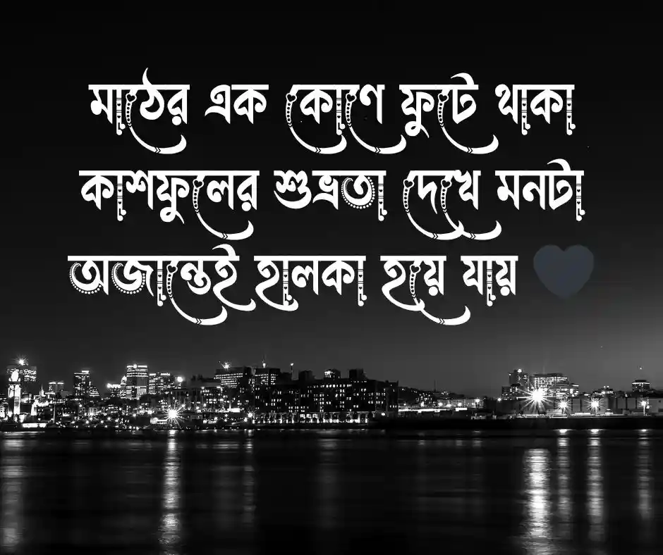 কাশফুল নিয়ে ছোট ক্যাপশন