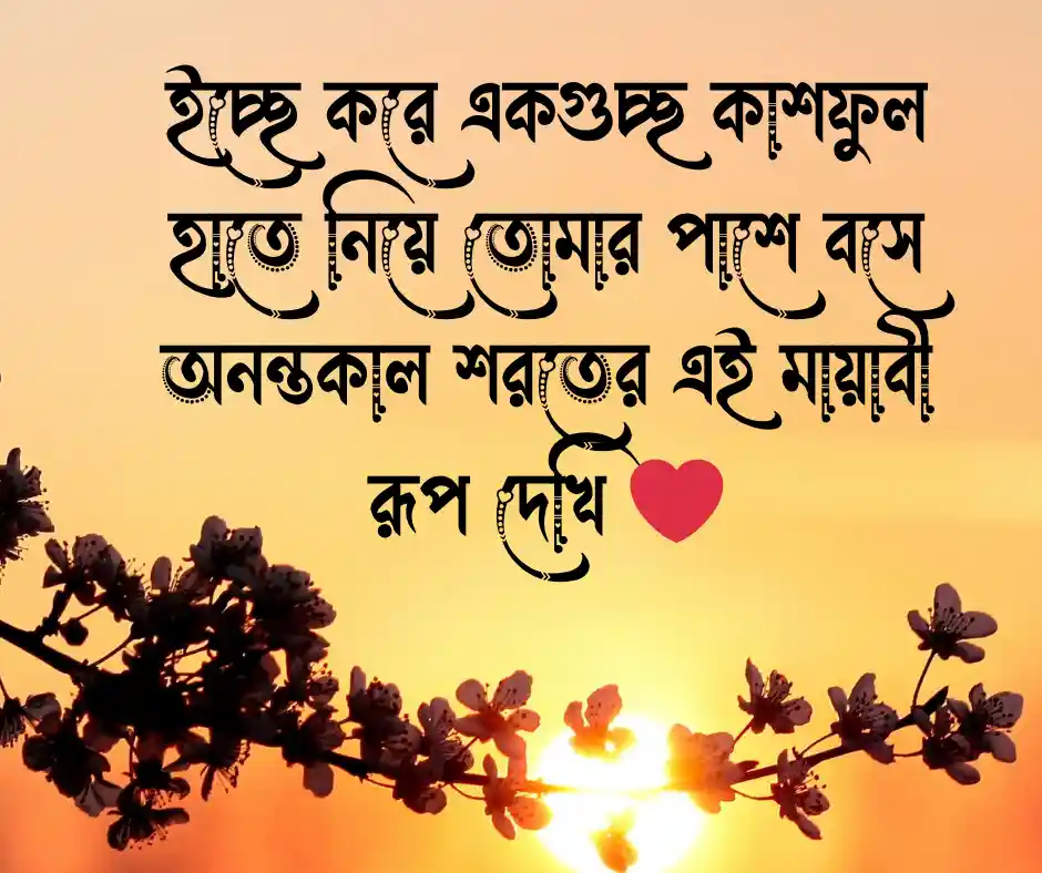 কাশফুল নিয়ে প্রেমের ক্যাপশন
