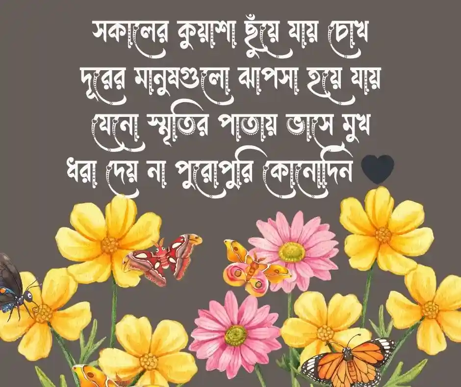 কুয়াশা নিয়ে কবিতা