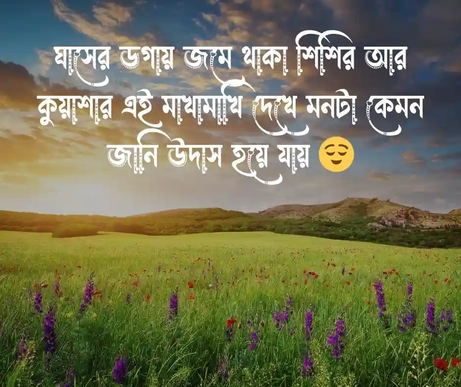 কুয়াশা নিয়ে ক্যাপশন