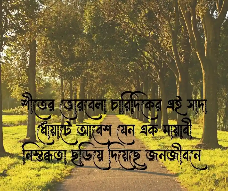 কুয়াশা নিয়ে ছোট ক্যাপশন
