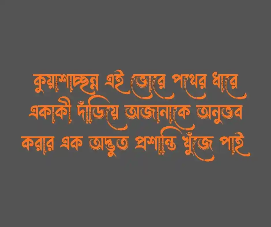 কুয়াশা নিয়ে স্ট্যাটাস