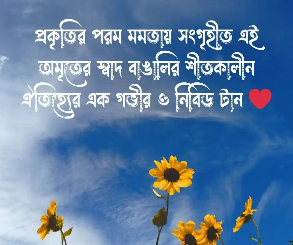 খেজুরের রস নিয়ে উক্তি
