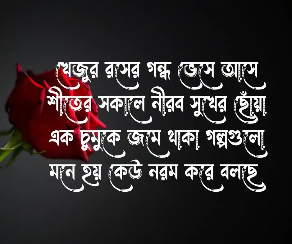 খেজুরের রস নিয়ে কবিতা