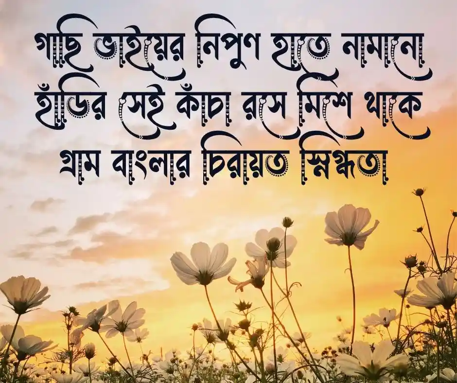 খেজুরের রস নিয়ে ফেসবুক স্ট্যাটাস