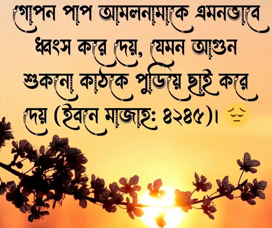 গোপন পাপ নিয়ে হাদিস