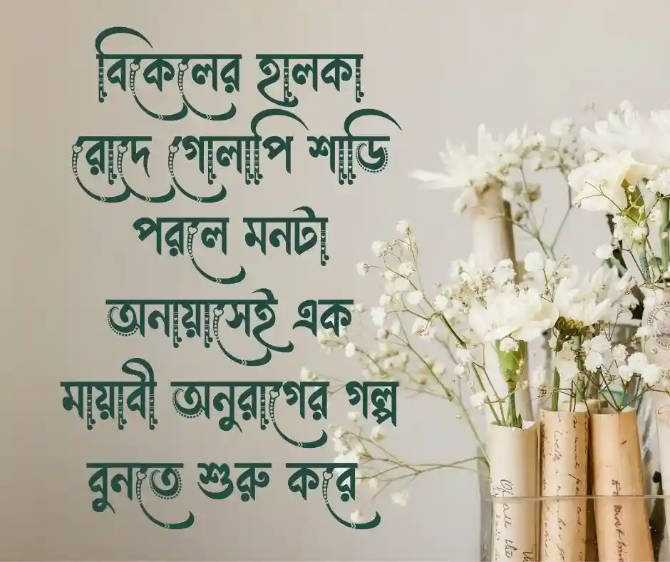 গোলাপি শাড়ি নিয়ে ক্যাপশন