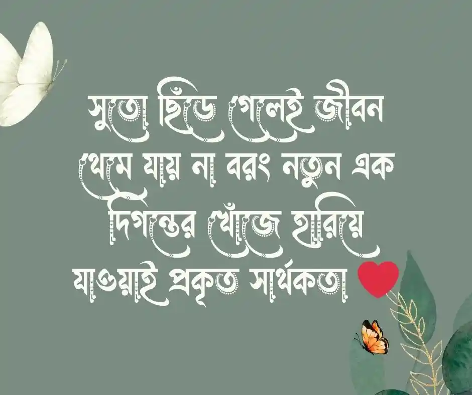 ঘুড়ি নিয়ে উক্তি