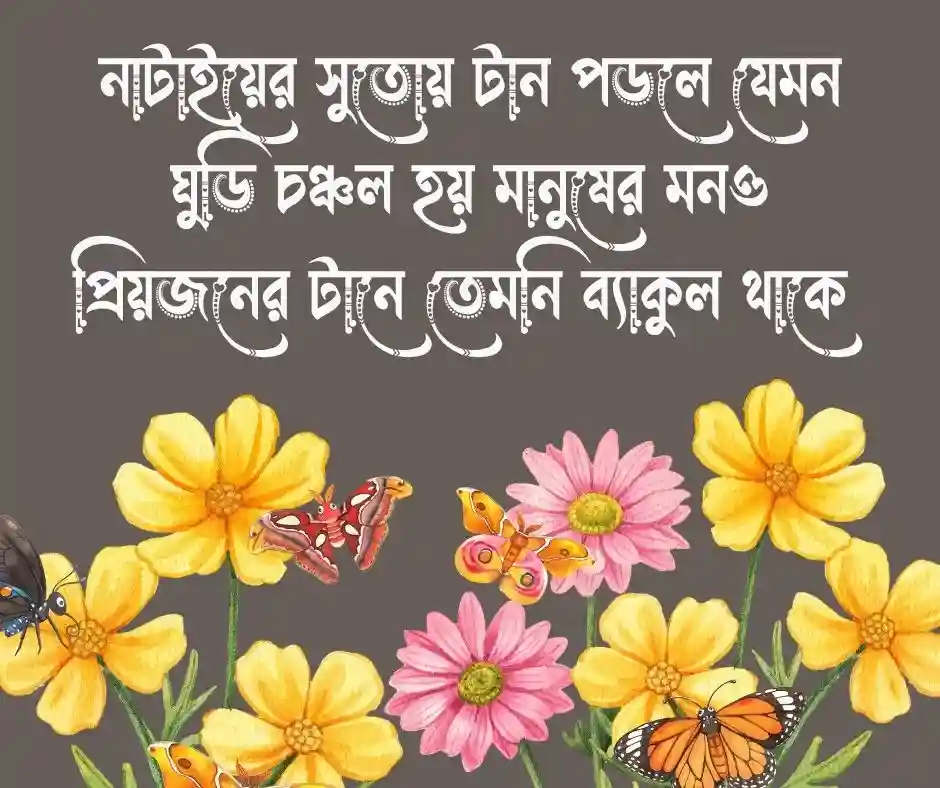 ঘুড়ি নিয়ে কিছু কথা