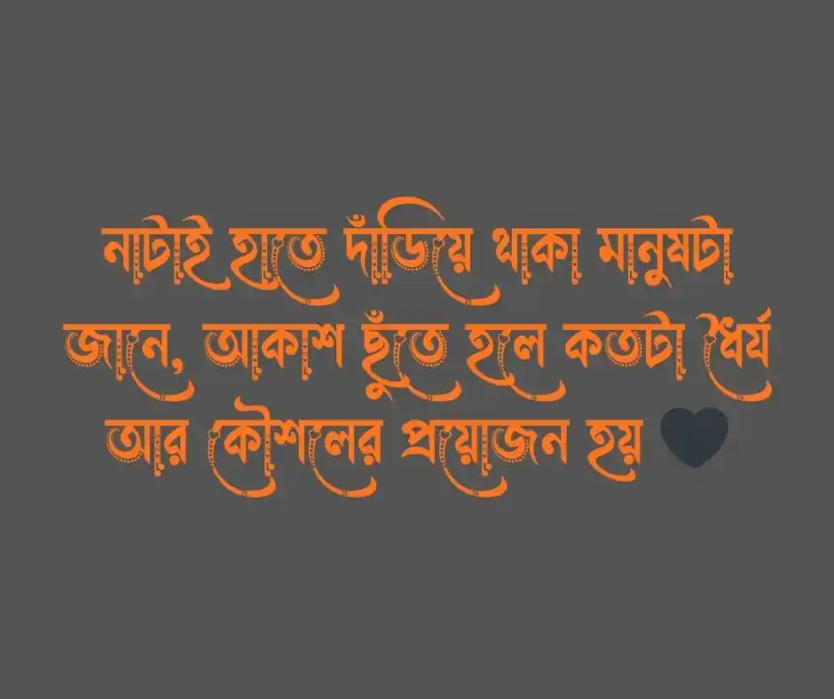 ঘুড়ি নিয়ে স্ট্যাটাস
