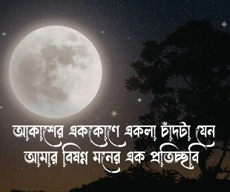 চাঁদ নিয়ে ক্যাপশন বাংলা