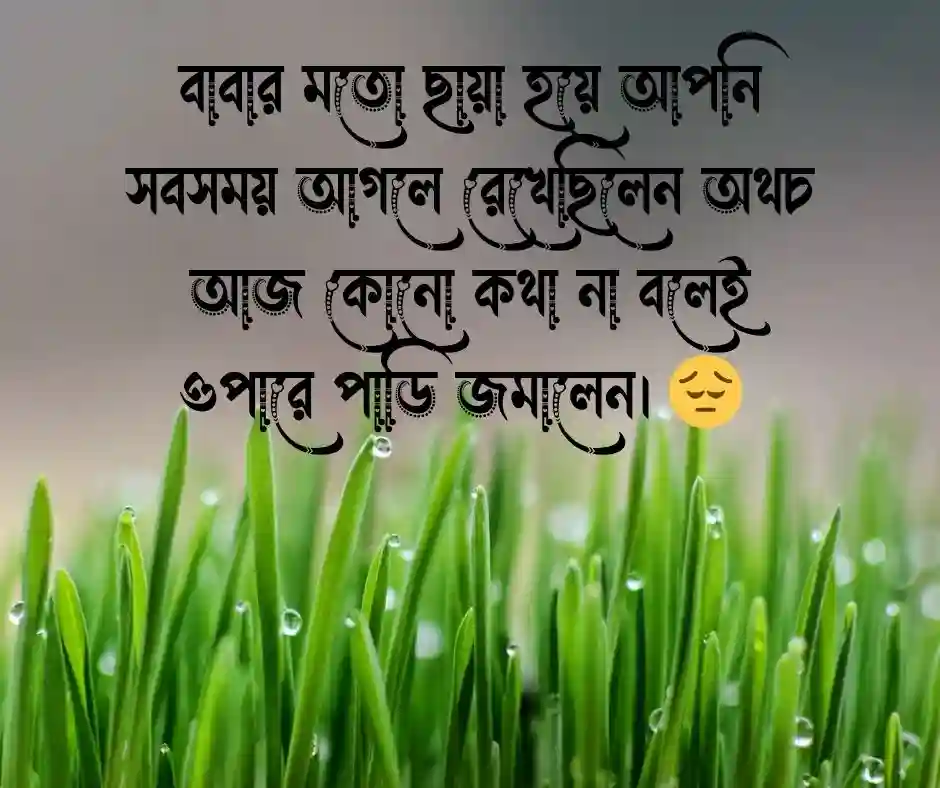 চাচার মৃত্যু নিয়ে স্ট্যাটাস